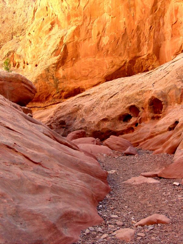 04160302LittleWildHorse (1022)